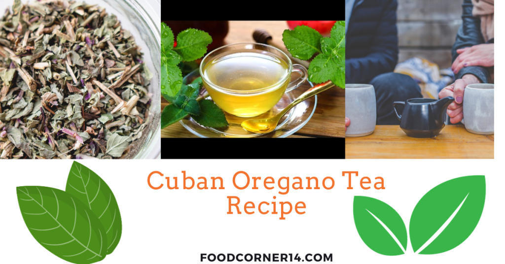 Cuban Oregano Tea Recipe